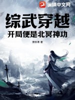  综武穿越：开局便是北冥神功